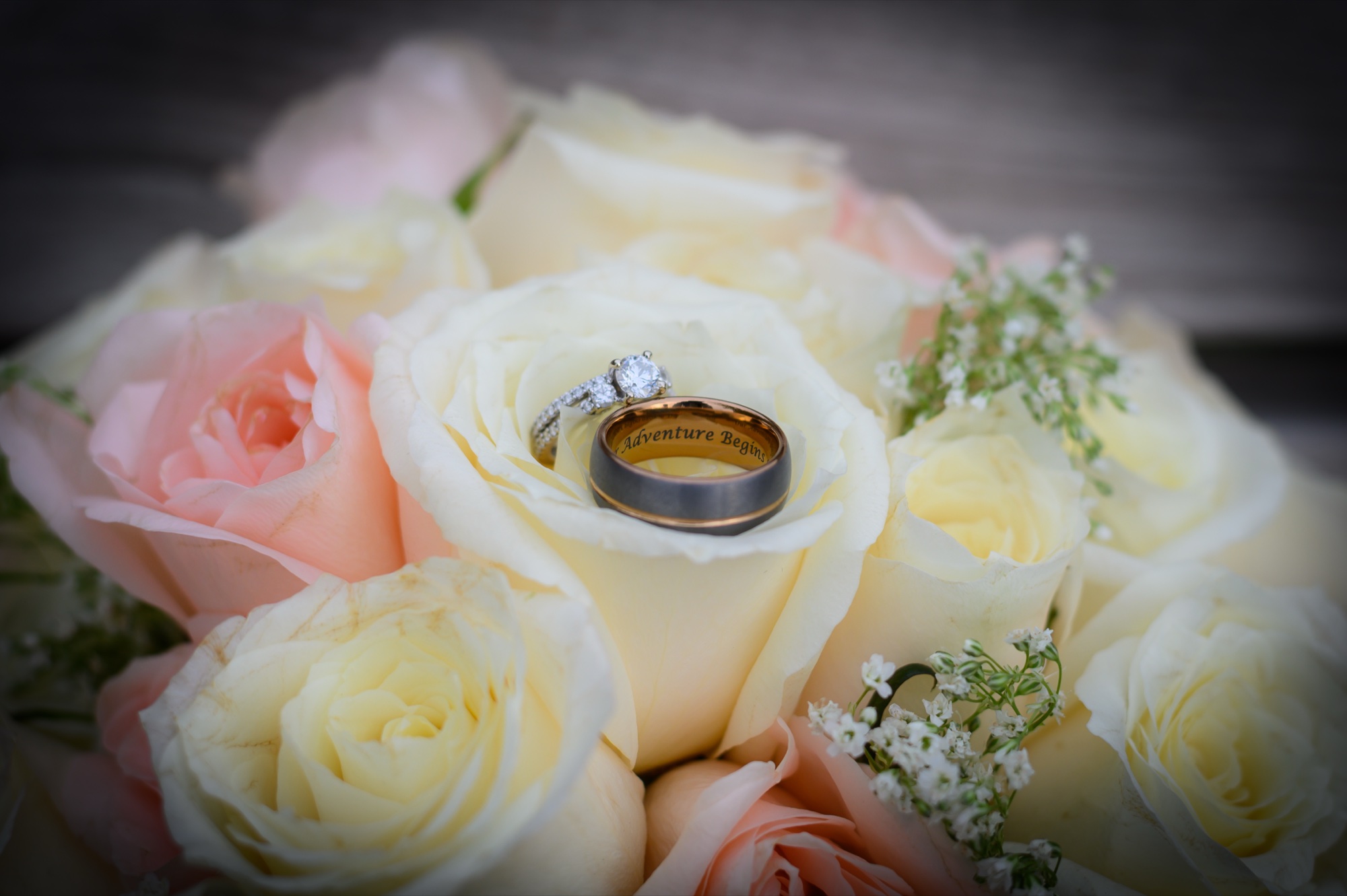 Chelsey & Dave — Fall session